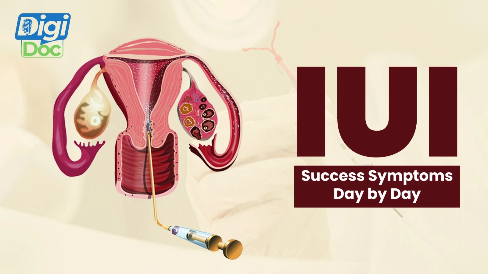 IUI Success Symptoms Day by Day
