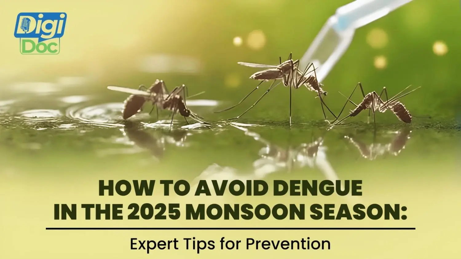 How to Avoid Dengue in the 2025 Monsoon Season