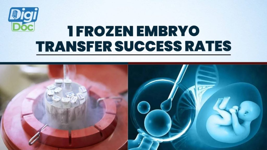 1-frozen-embryo-transfer-success-rates