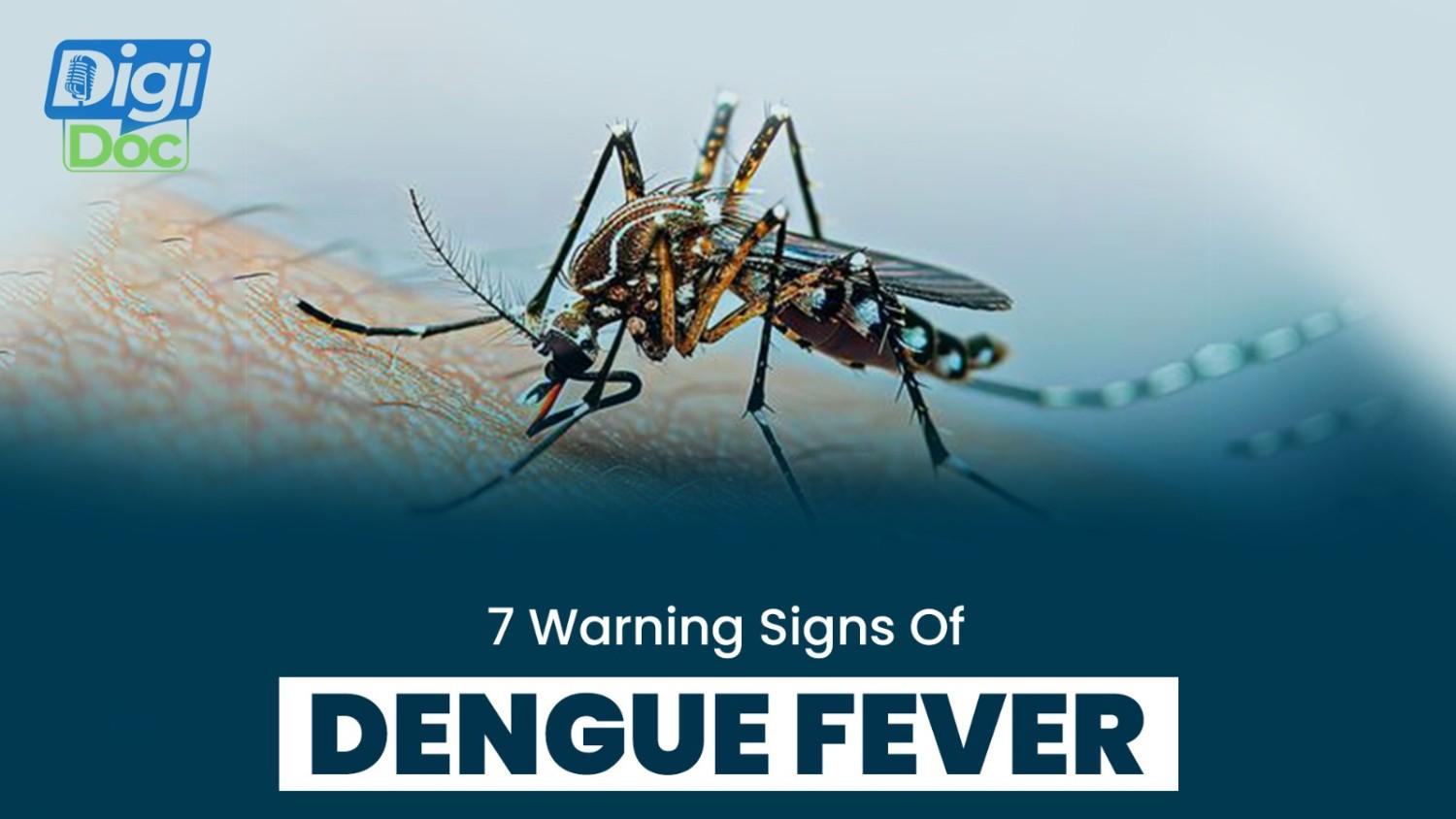 7-warning-signs-of-dengue-fever