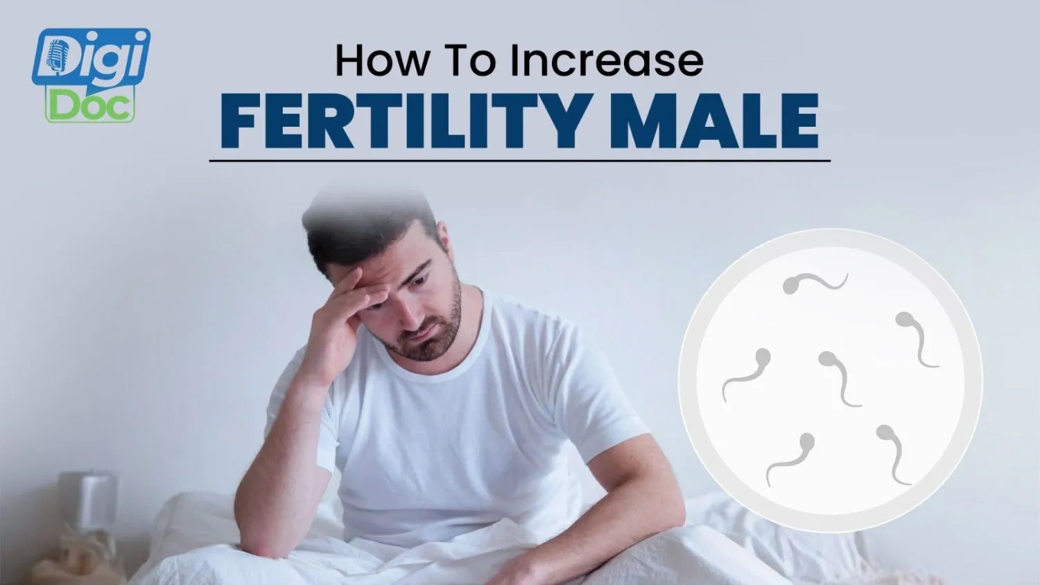 How+to+Increase+Fertility+Male