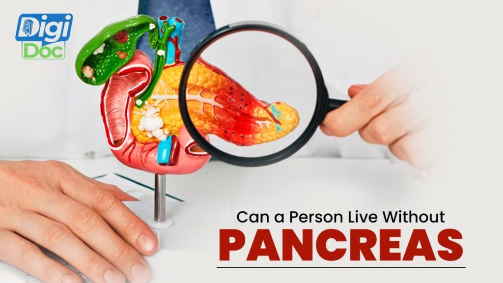 can-a-person-live-without-pancreas